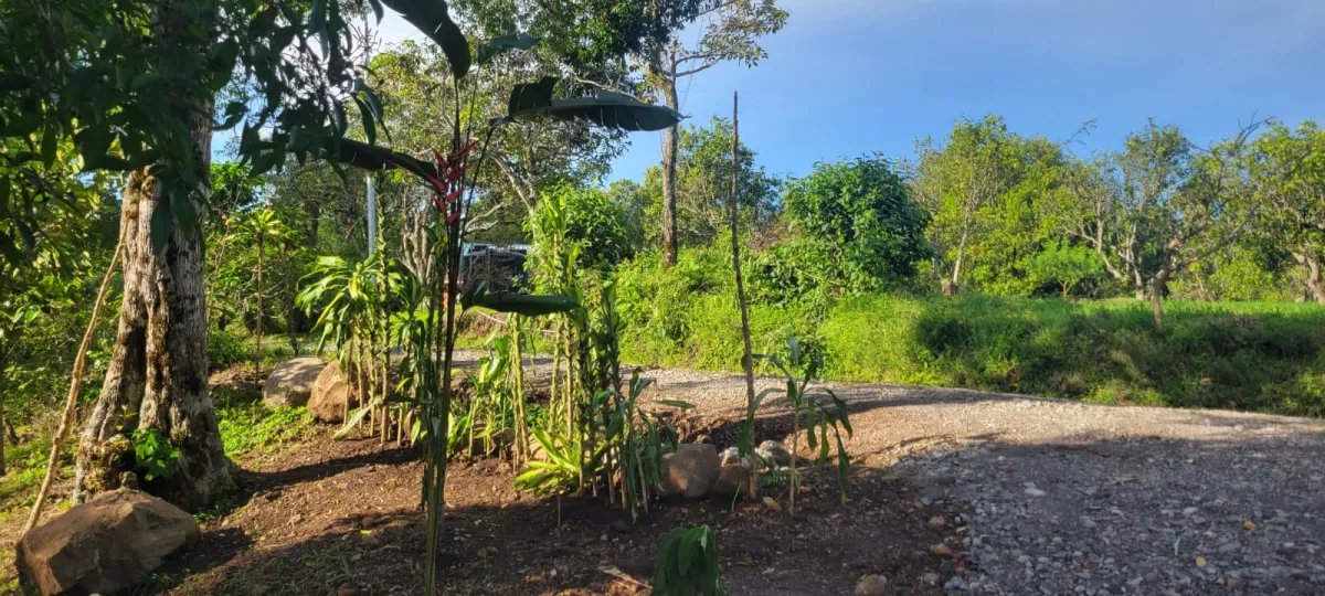 Mixed Use For Sale in Palmira; Boquete, Panama