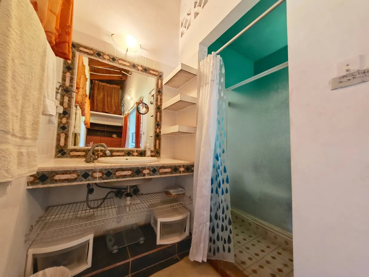 Single Family Detached For Sale in San Carlos