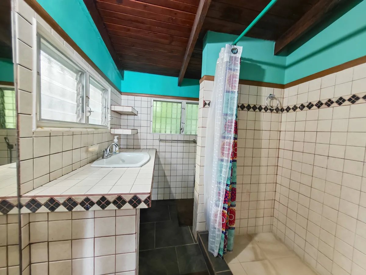 Single Family Detached For Sale in San Carlos
