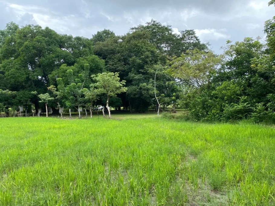 Park-Like Acreage with Endless Potential
