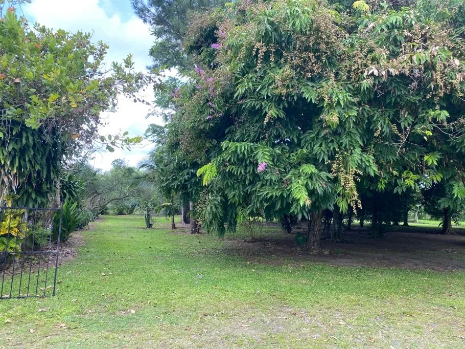 Park-Like Acreage with Endless Potential
