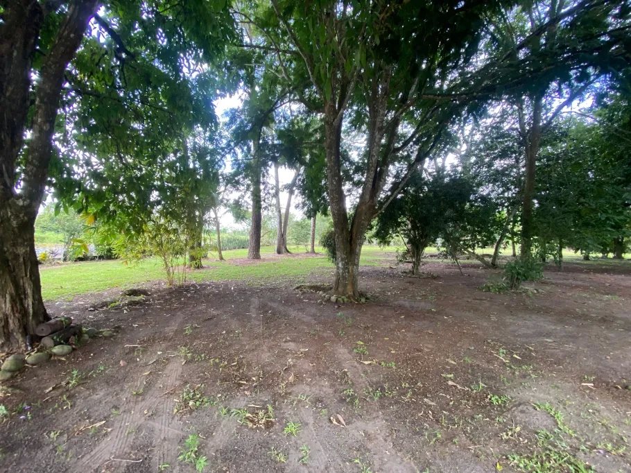 Park-Like Acreage with Endless Potential