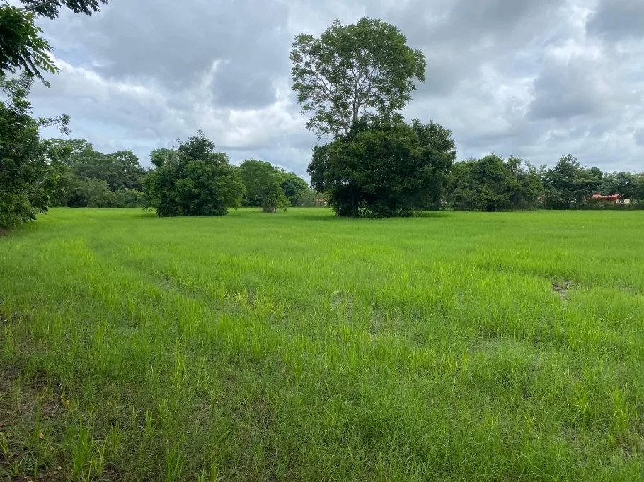 Park-Like Acreage with Endless Potential