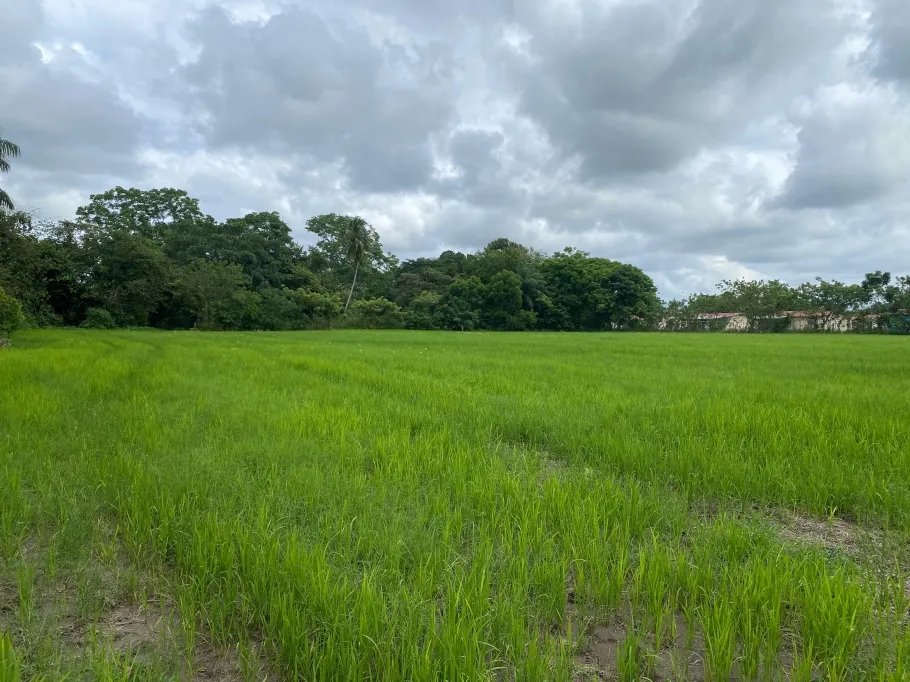 Park-Like Acreage with Endless Potential