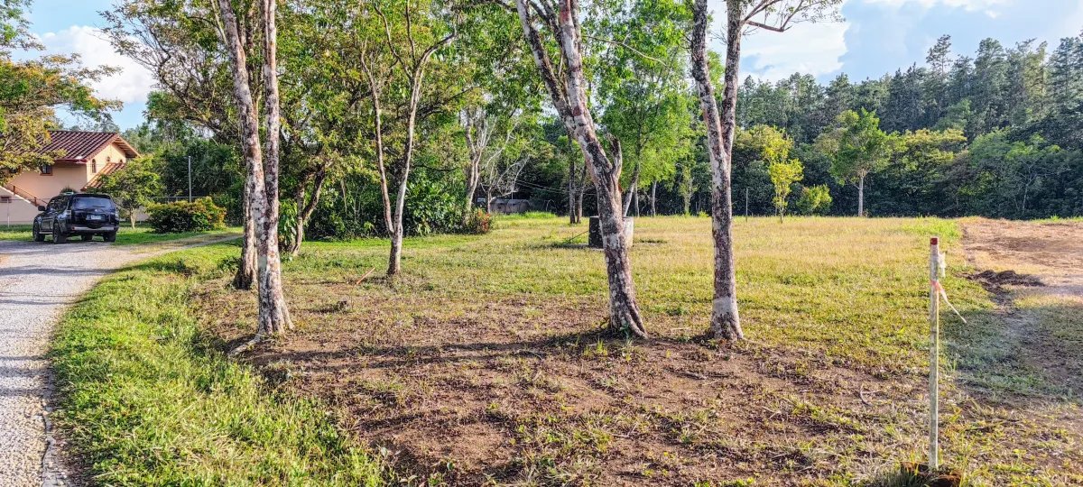 Scenic building lot with enchanting mountain views
