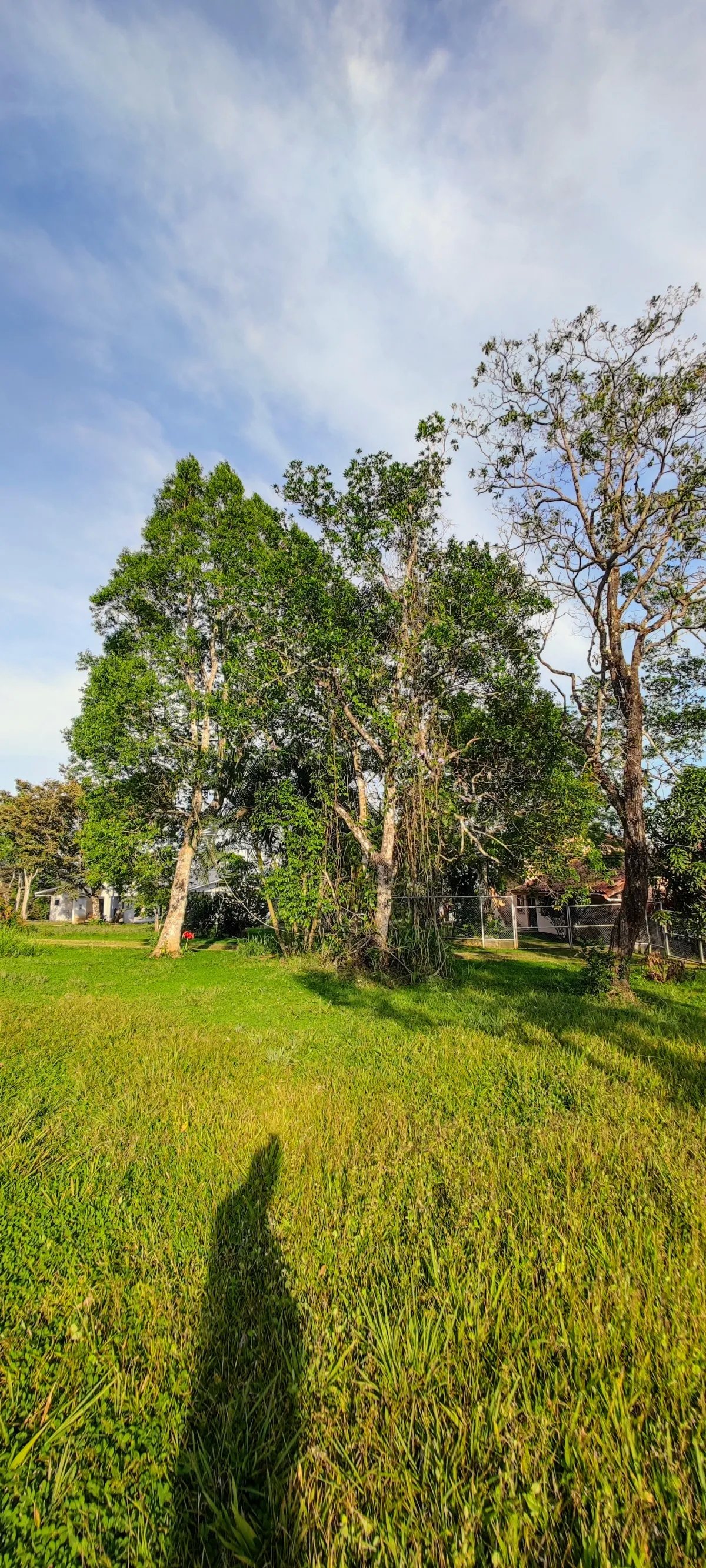 Scenic building lot with enchanting mountain views