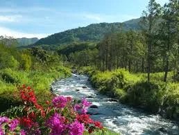 Condominium For Sale in Boquete