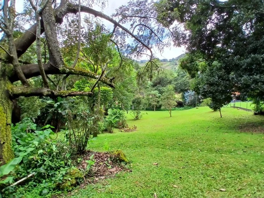 Single Family Attached For Sale in Nueva Suiza