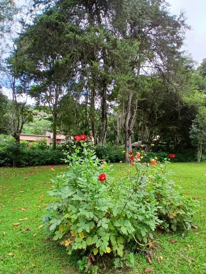 Single Family Attached For Sale in Nueva Suiza