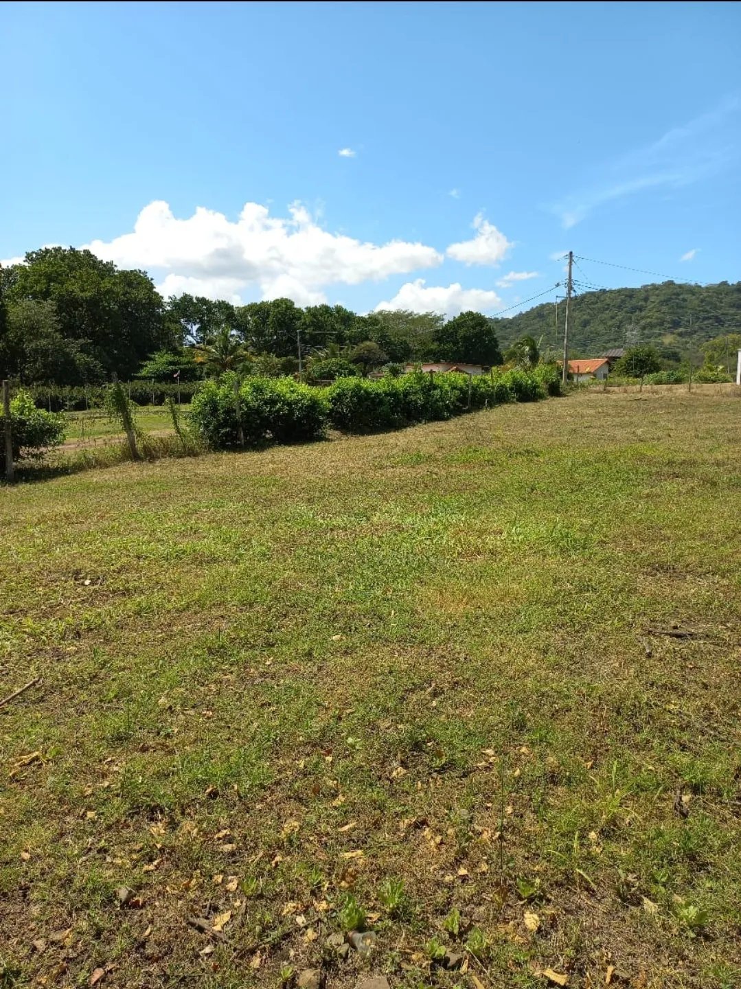 Unimproved Land For Sale in Calle El Espavé