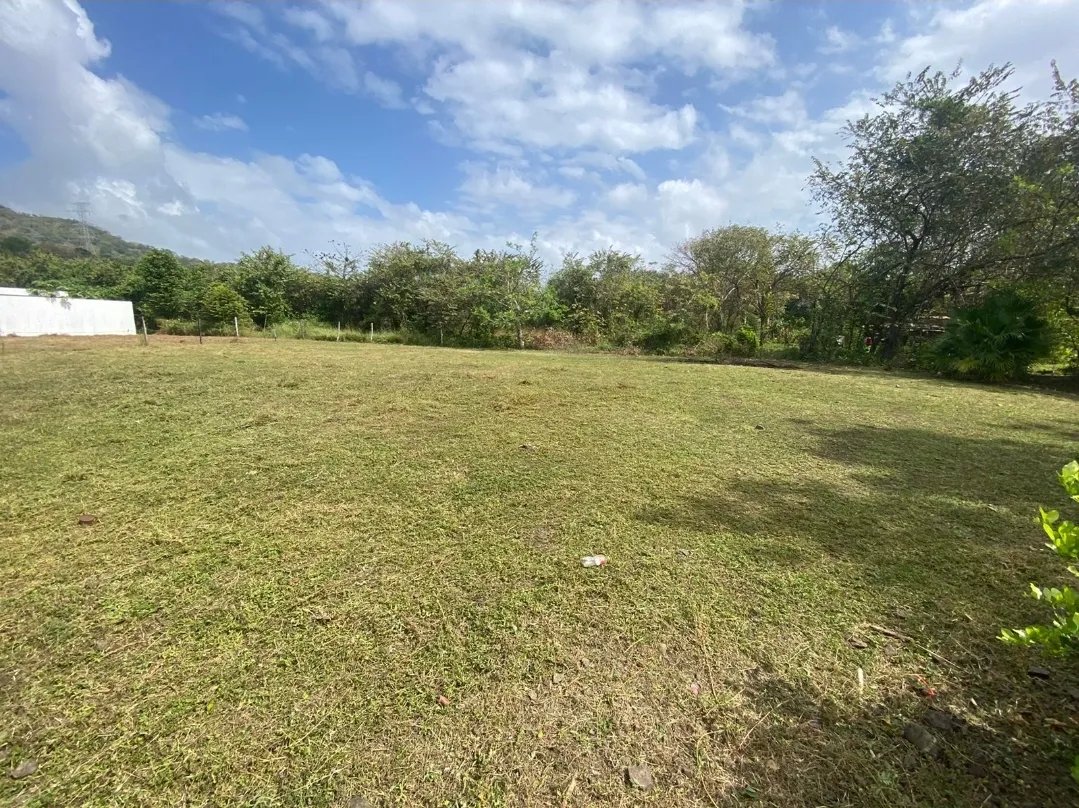 Unimproved Land For Sale in Calle El Espavé