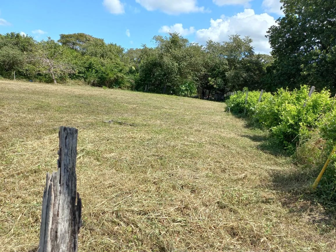 Vendo dos terrenos unidos en Rancho Los Sueños