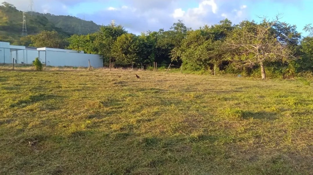 Vendo dos terrenos unidos en Rancho Los Sueños