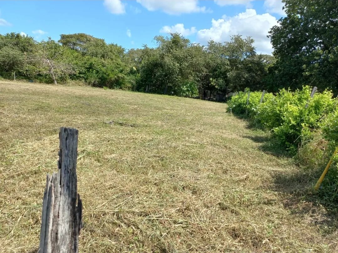 Vendo dos terrenos unidos en Rancho Los Sueños