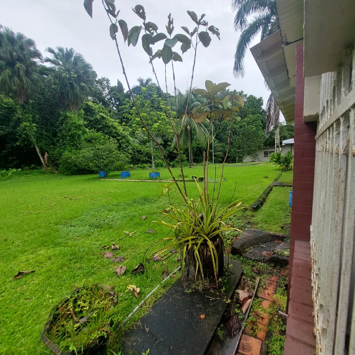 Se vende casa en Margarita, Colón