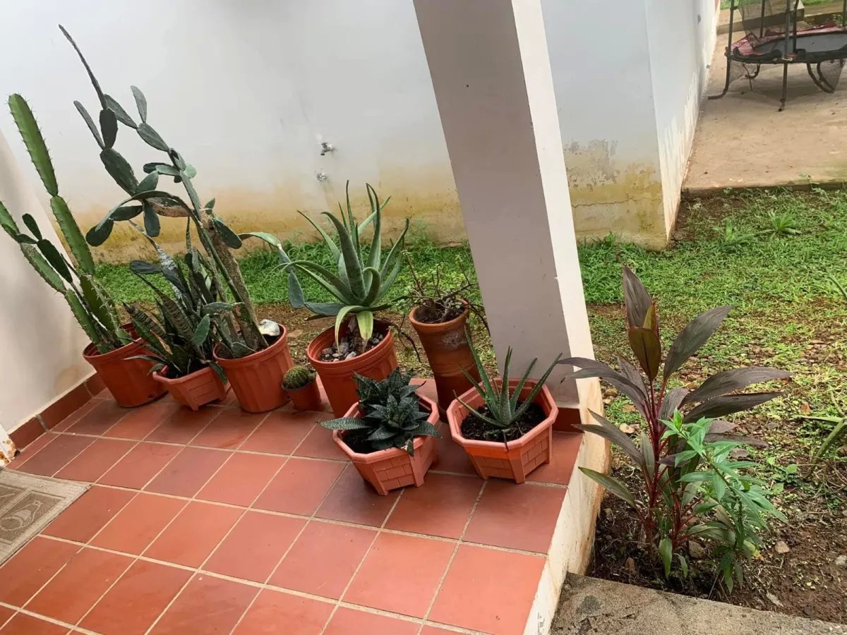 Alquiler de casa en Brisas del Golf, Arraijan