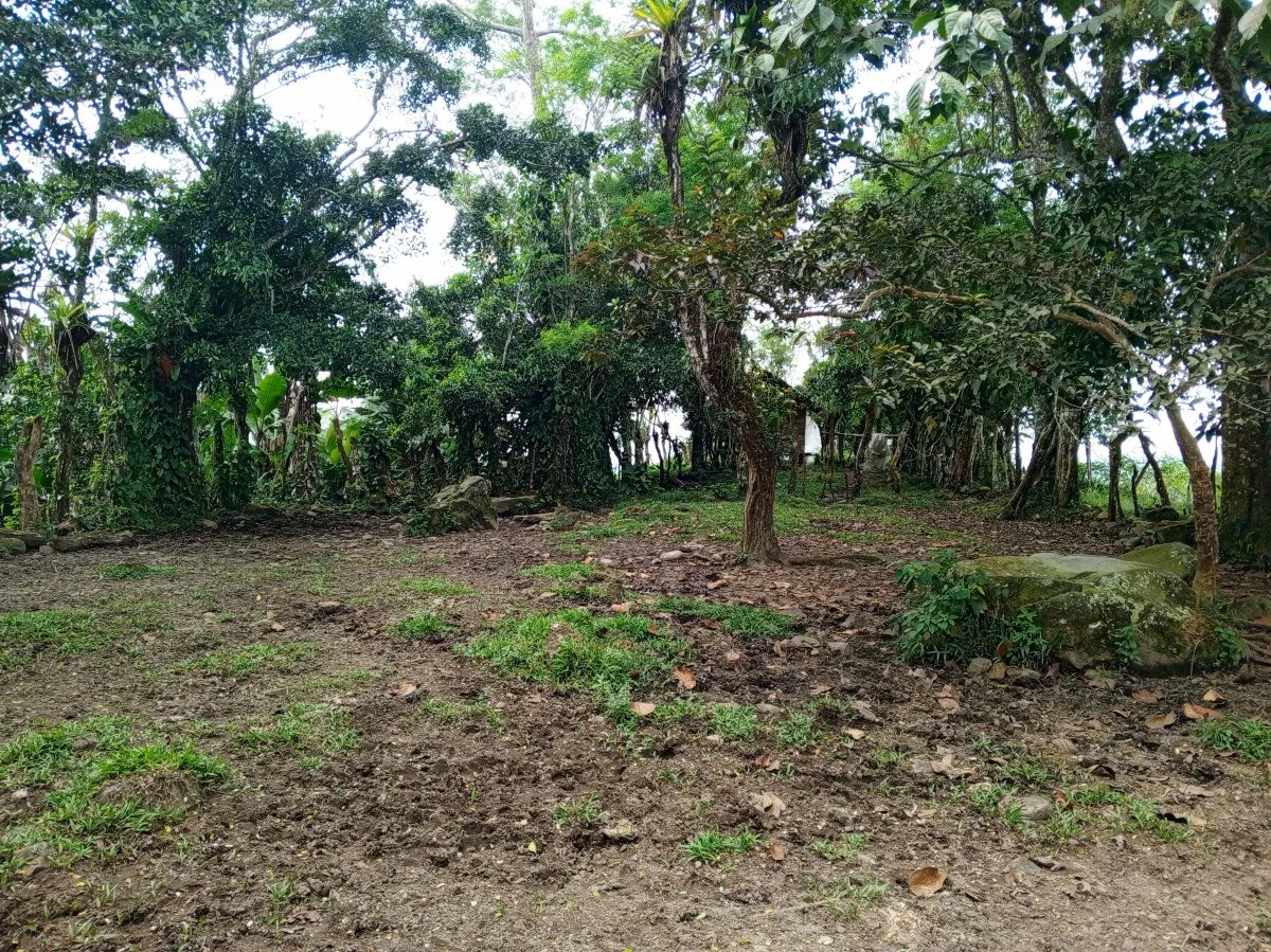 Finca de 21.7 Hectáreas en Venta en Santa Rosa, Bugaba, Chiriquí, Pana...