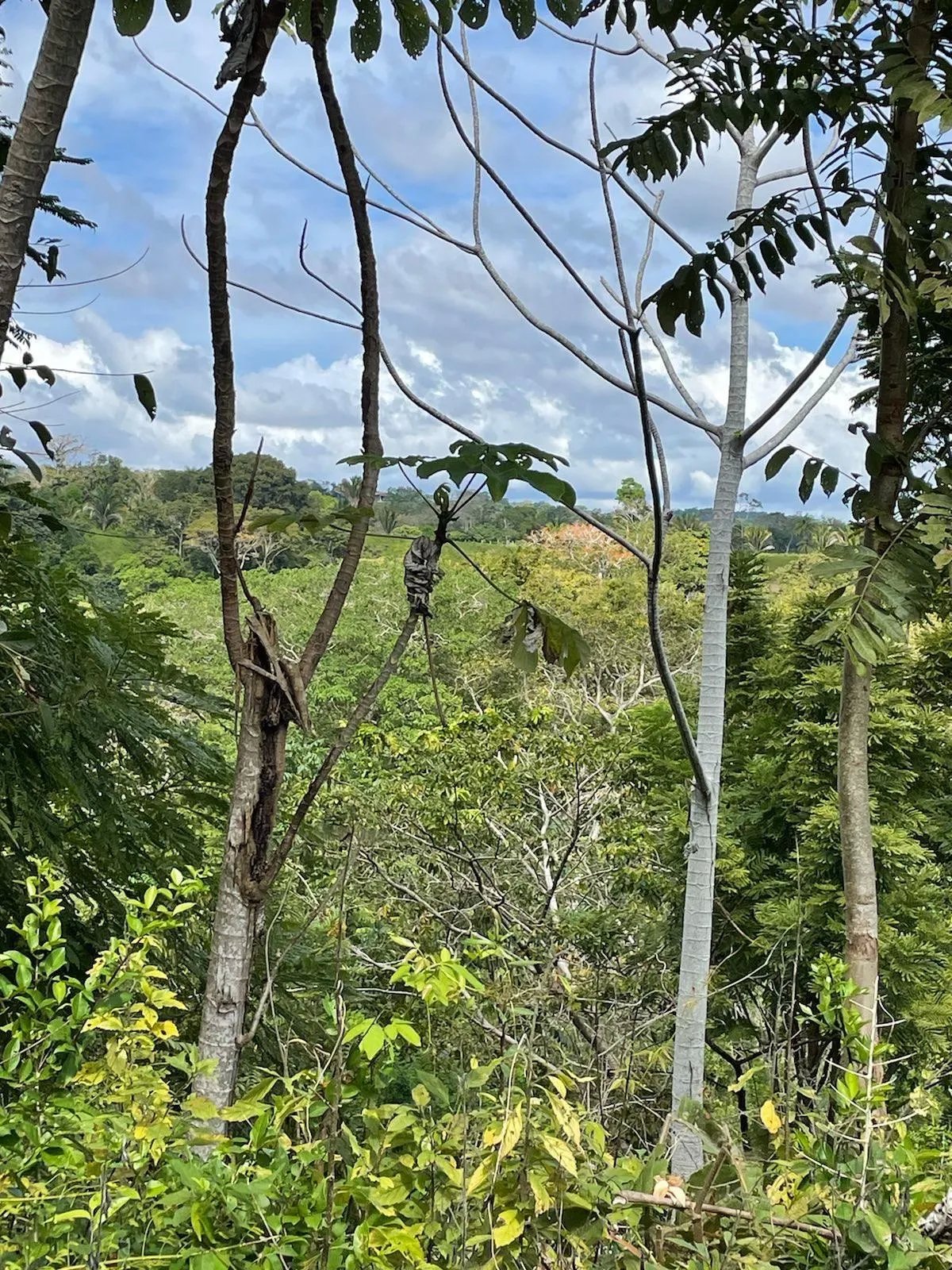 Limones, Puerto Armuelles Road Front Lot