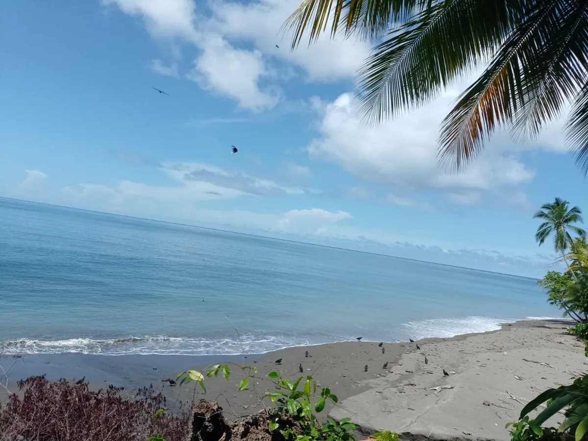 Land for Sale in Limones, Puerto Armuelles, Chiriquí, Panama | Mixed-Use Development Opportunity