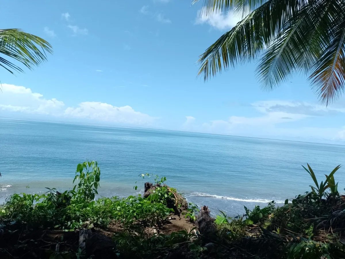 Land for Sale in Limones, Puerto Armuelles, Chiriquí, Panama | Mixed-Use Development Opportunity