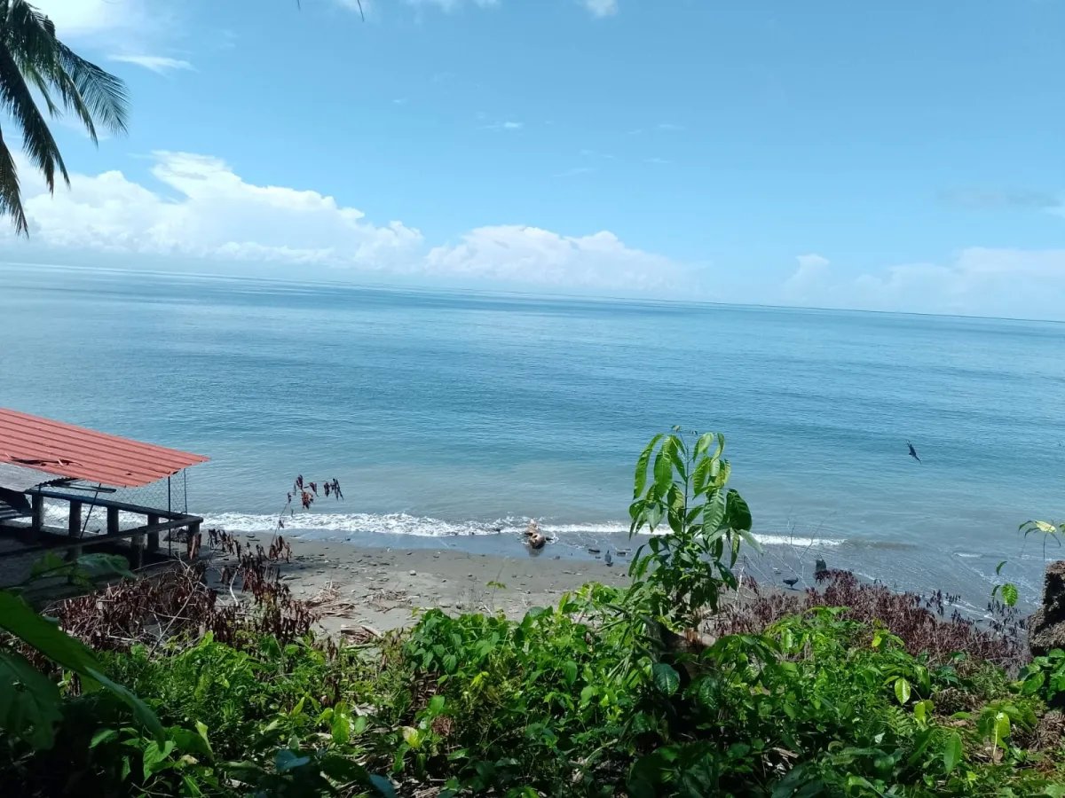 Land for Sale in Limones, Puerto Armuelles, Chiriquí, Panama | Mixed-Use Development Opportunity
