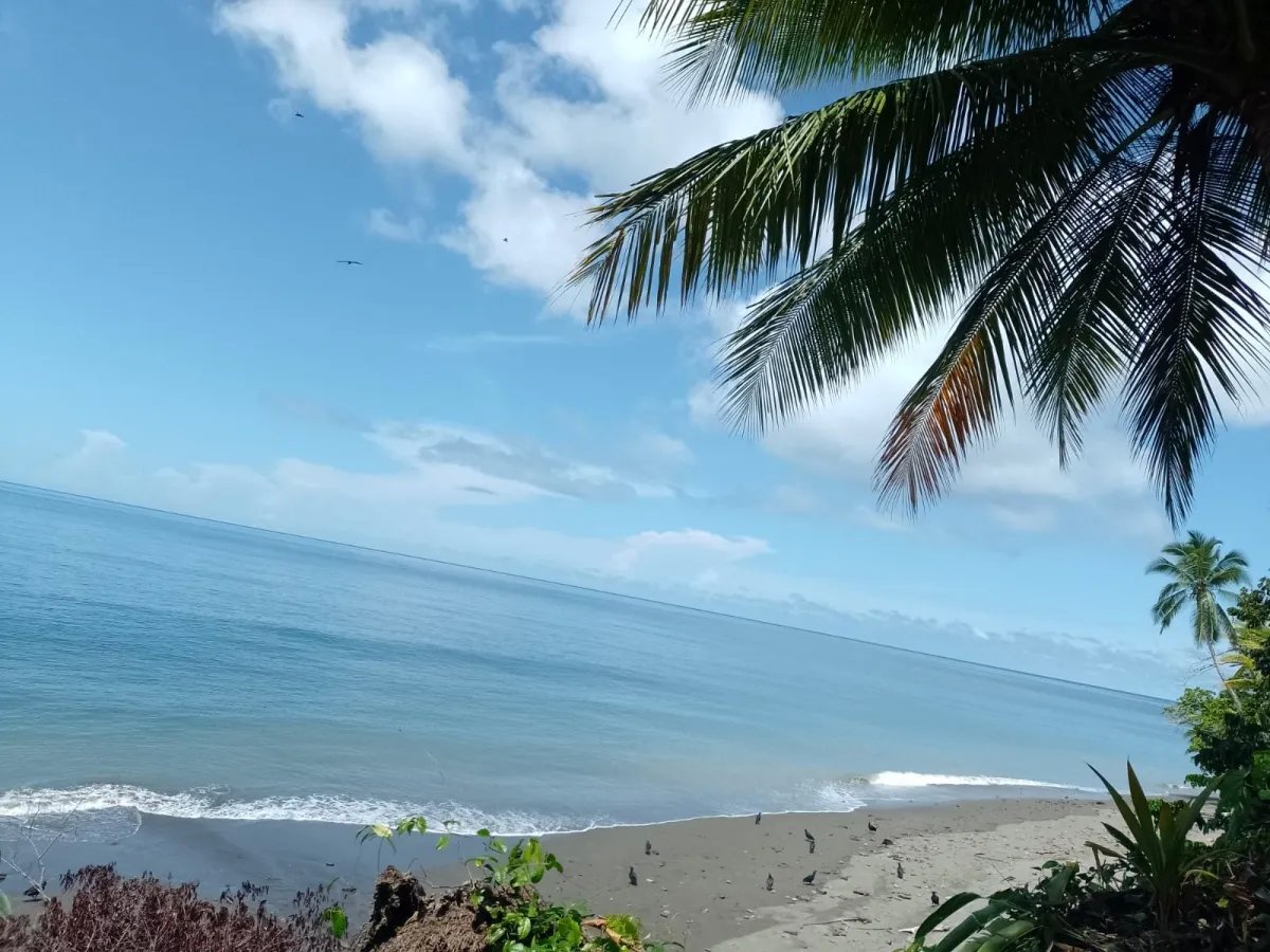 Land for Sale in Limones, Puerto Armuelles, Chiriquí, Panama | Mixed-Use Development Opportunity