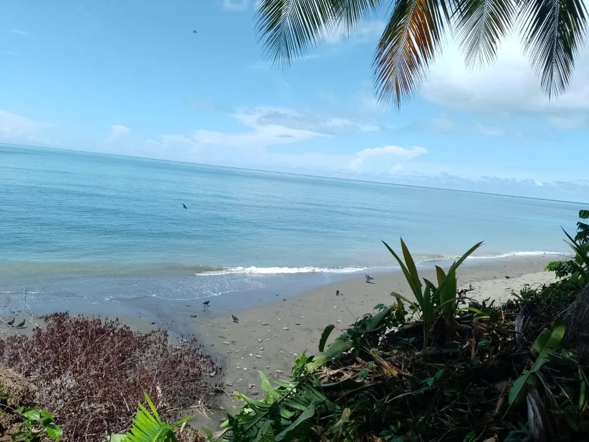 Land for Sale in Limones, Puerto Armuelles, Chiriquí, Panama | Mixed-Use Development Opportunity