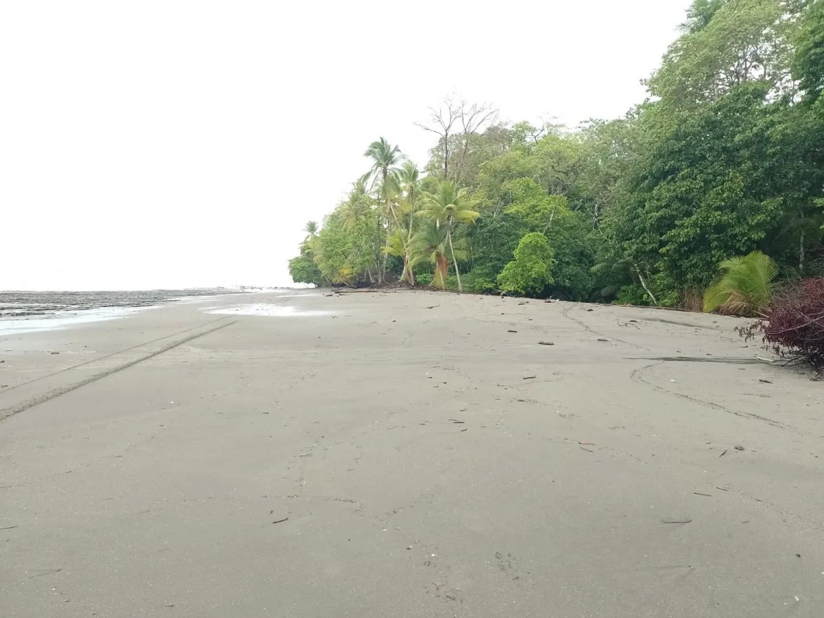Land for Sale in Limones, Puerto Armuelles, Chiriquí, Panama | Mixed-Use Development Opportunity