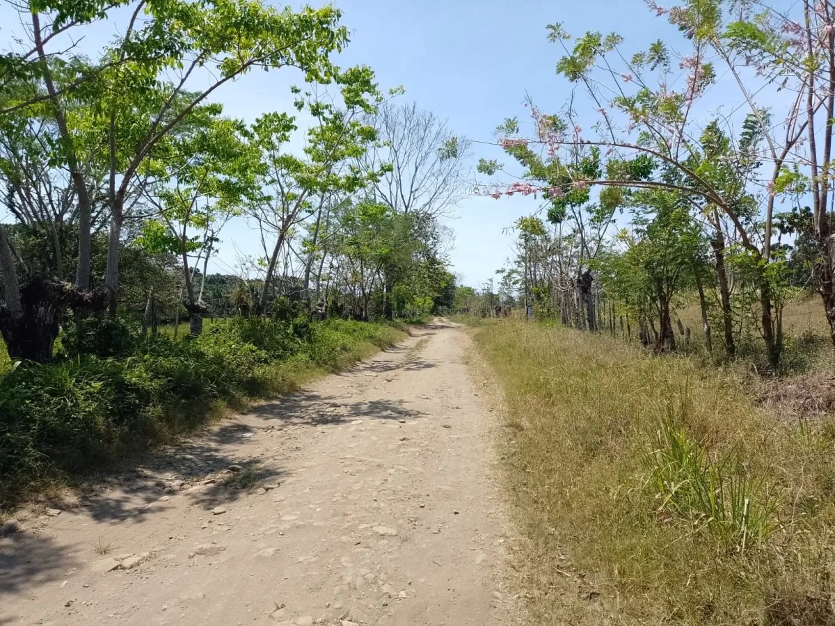 Land for Sale in Limones, Puerto Armuelles, Chiriquí, Panama | Mixed-Use Development Opportunity