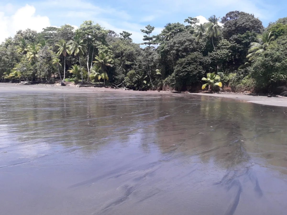 Land for Sale in Limones, Puerto Armuelles, Chiriquí, Panama | Mixed-Use Development Opportunity