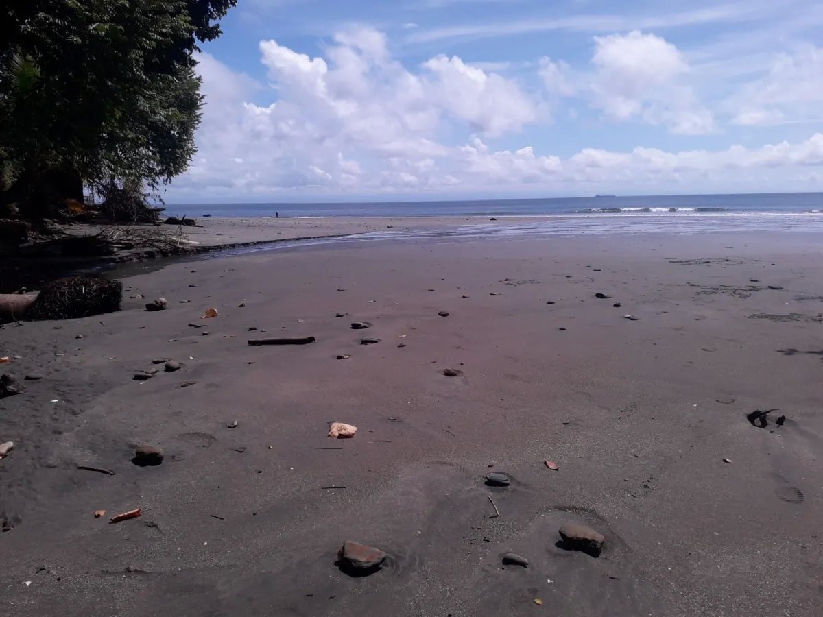 Land for Sale in Limones, Puerto Armuelles, Chiriquí, Panama | Mixed-Use Development Opportunity