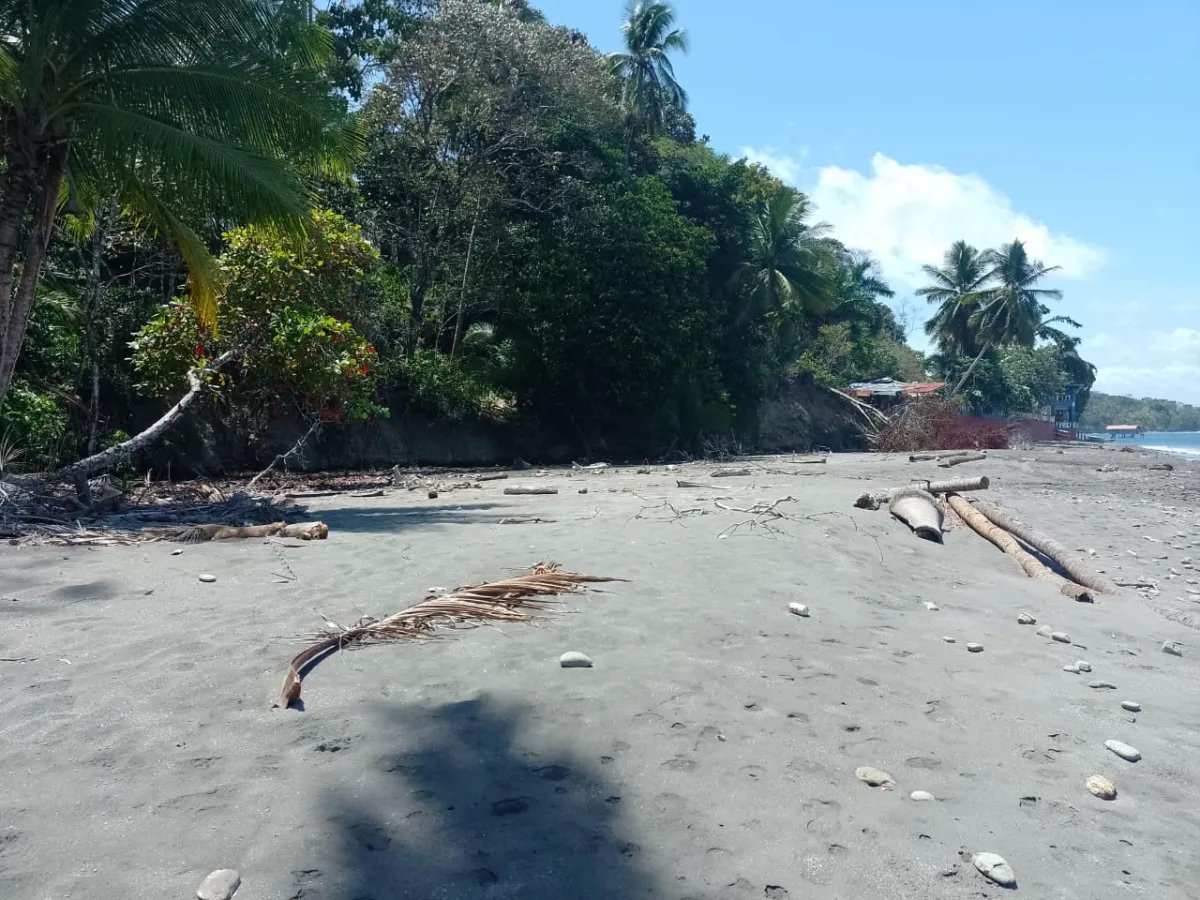 Land for Sale in Limones, Puerto Armuelles, Chiriquí, Panama | Mixed-Use Development Opportunity