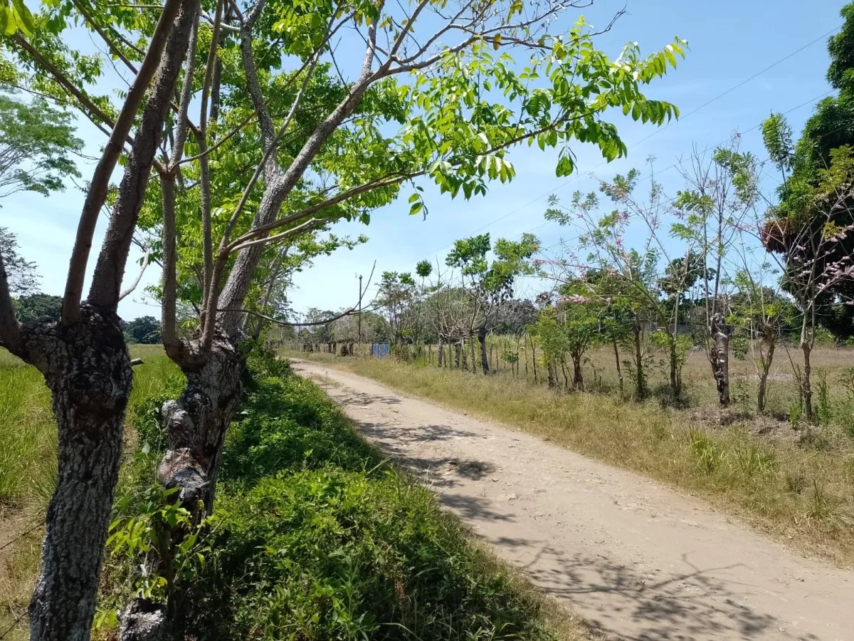 Land for Sale in Limones, Puerto Armuelles, Chiriquí, Panama | Mixed-Use Development Opportunity