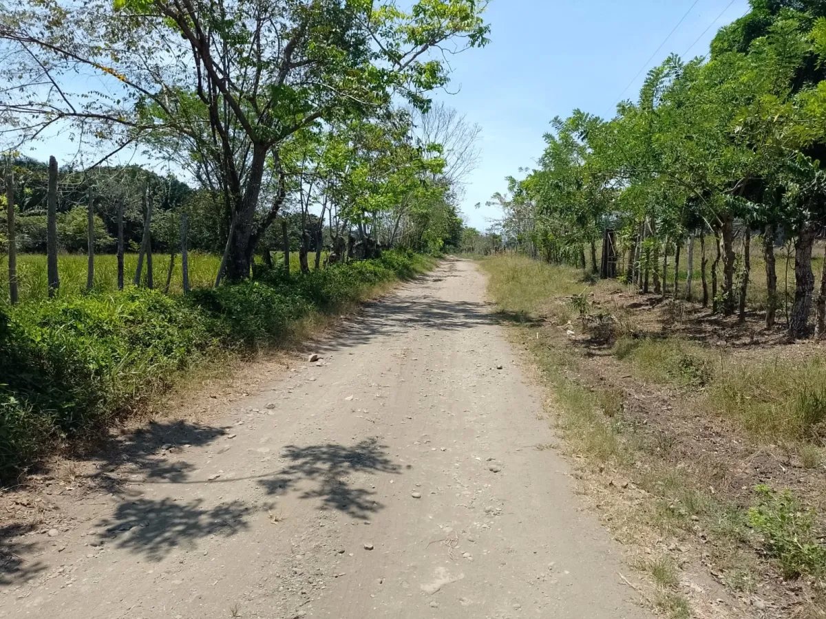 Land for Sale in Limones, Puerto Armuelles, Chiriquí, Panama | Mixed-Use Development Opportunity