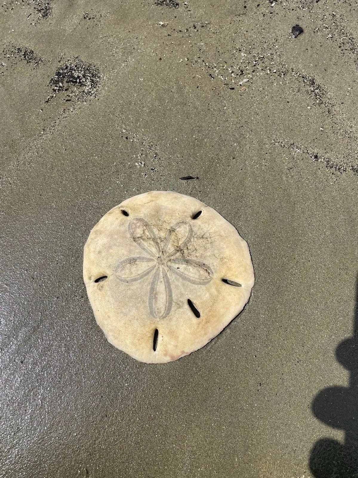 Limones, Puerto Armuelles Beach Front Lot