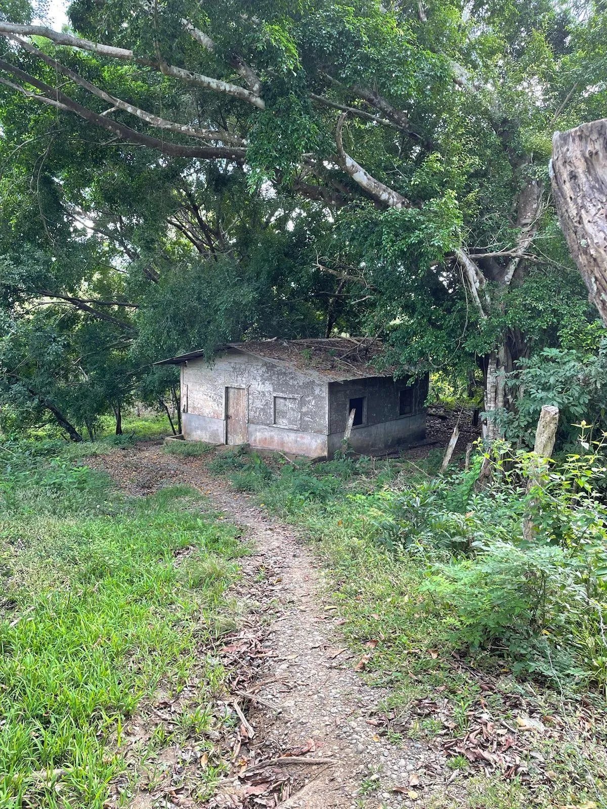 Lot For Sale in Puerto Armuelles, Limones