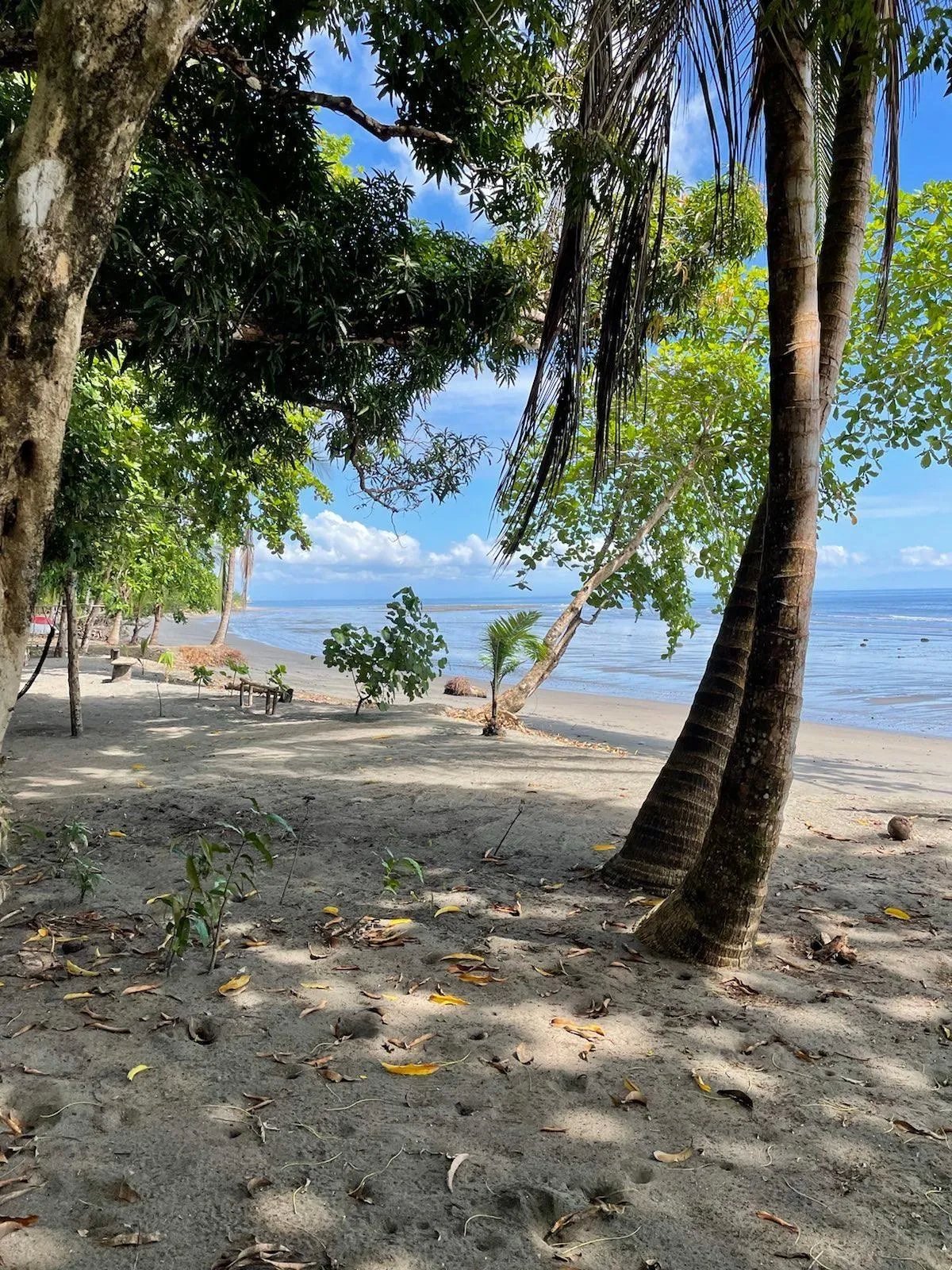 Lot For Sale in Puerto Armuelles, Limones
