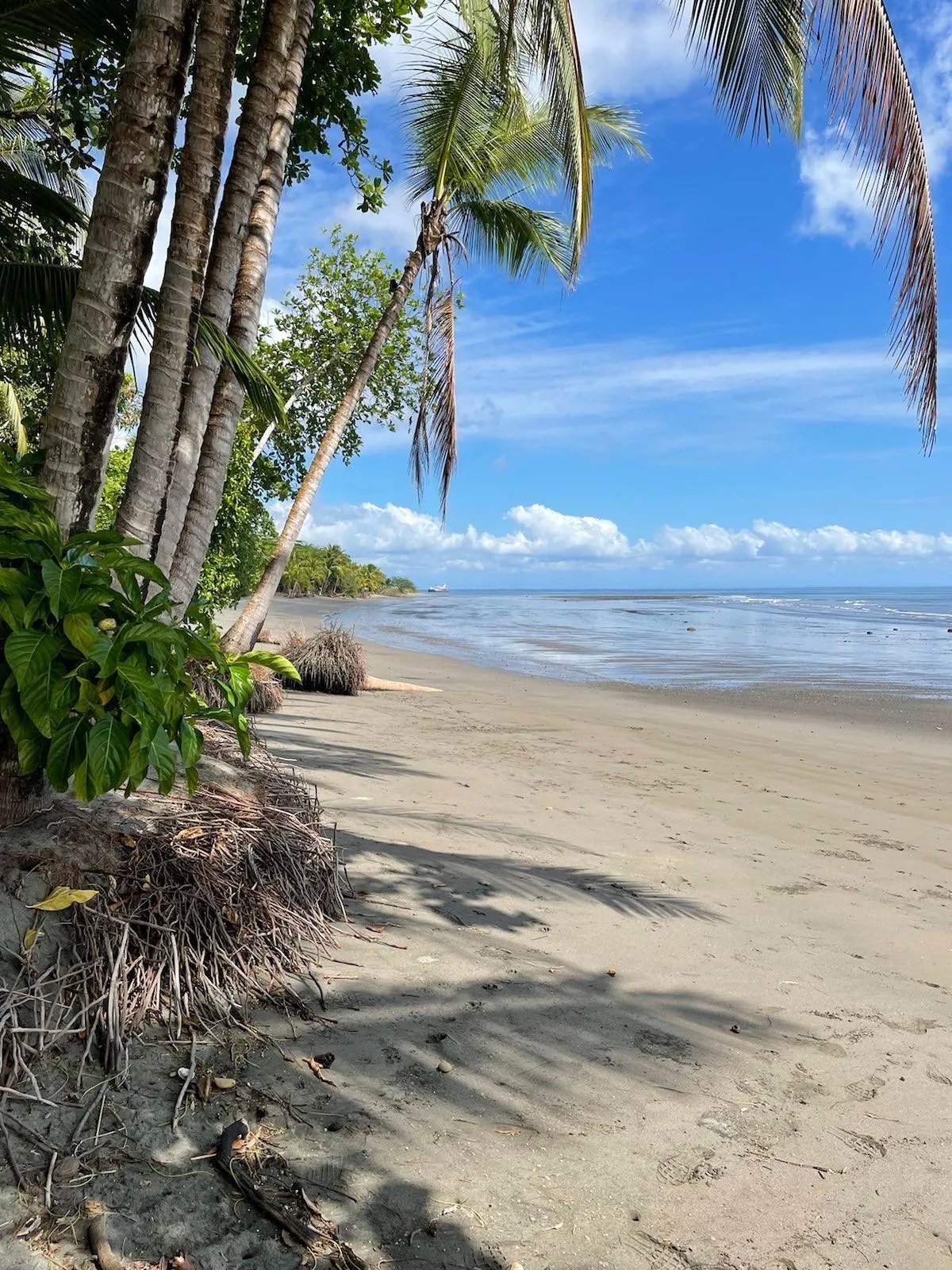 Lot For Sale in Puerto Armuelles, Limones