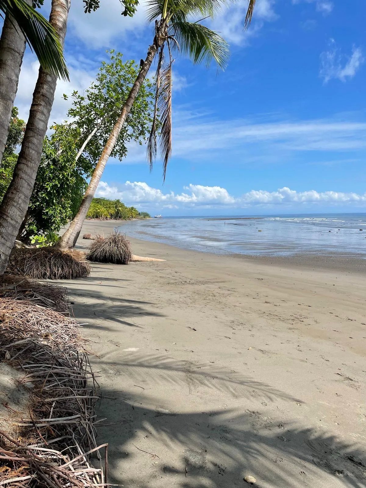 Lot For Sale in Puerto Armuelles, Limones