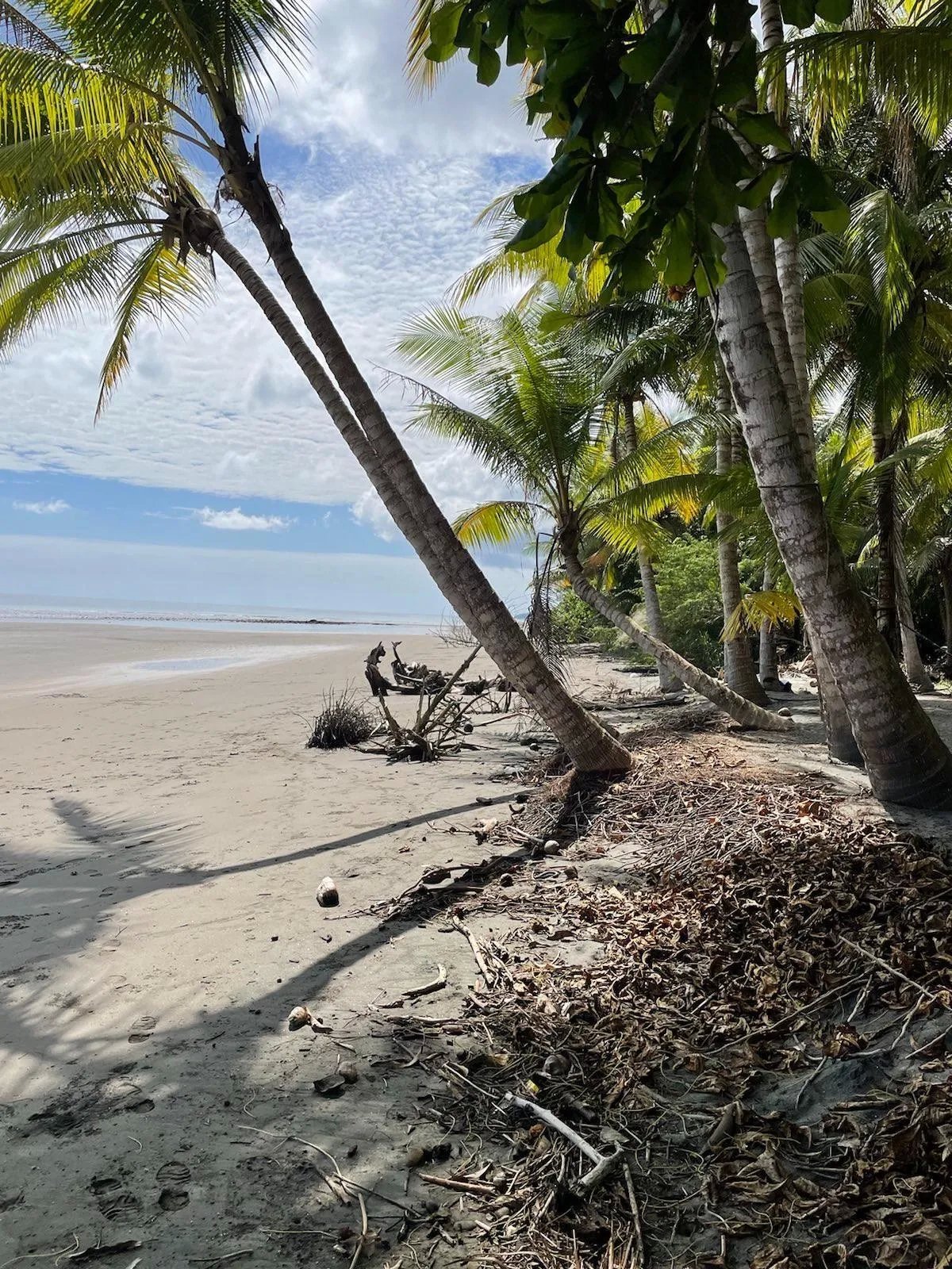 Lot For Sale in Puerto Armuelles, Limones