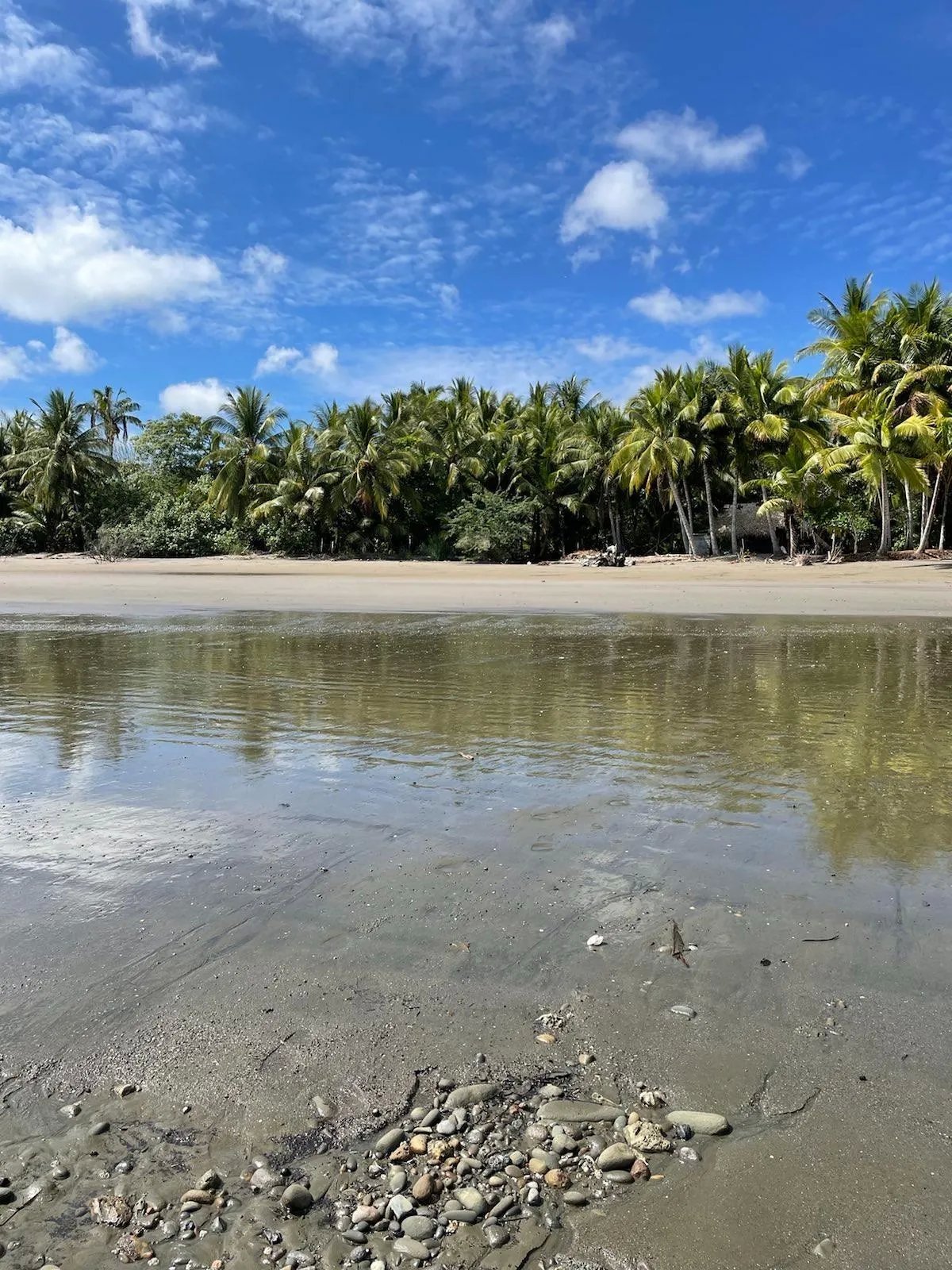 Lot For Sale in Puerto Armuelles, Limones