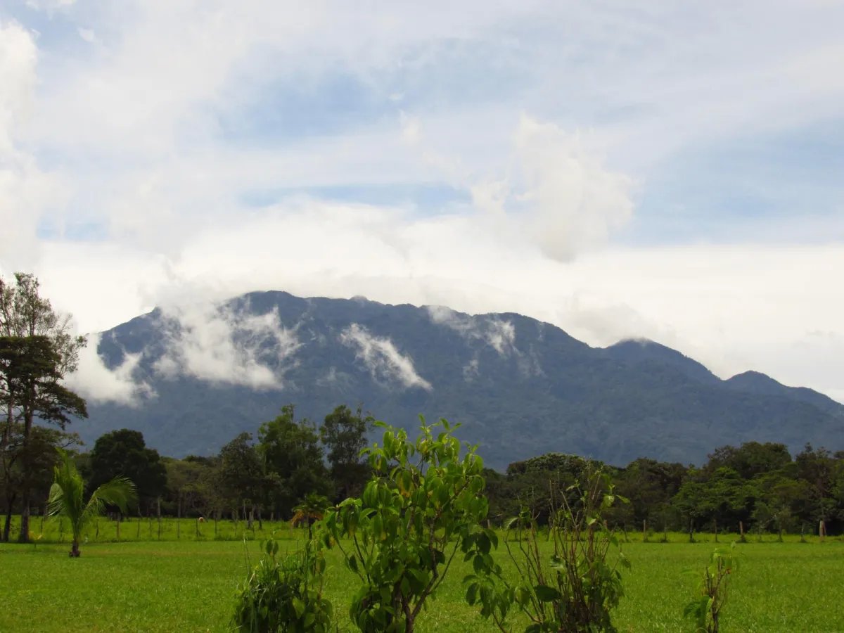 Lote a la Venta en Potrerillos | 6059?m² | Chiriqui |  Panama
