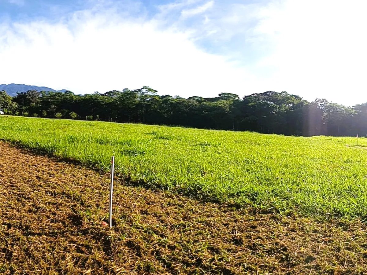 Lote a la Venta en Potrerillos | 6059?m² | Chiriqui |  Panama