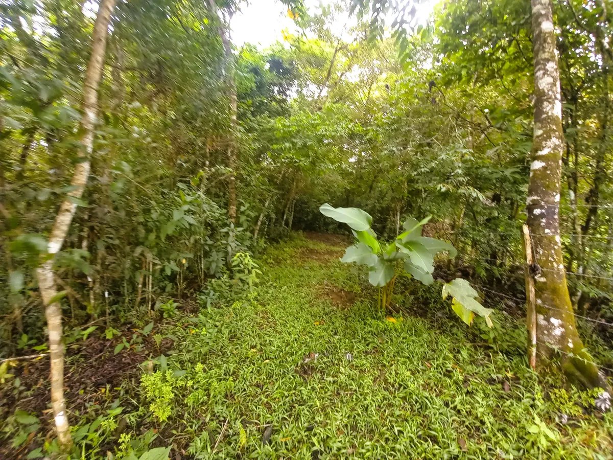 Lote a la Venta en Potrerillos |  5,879?m² |  Chiriqui  Panama