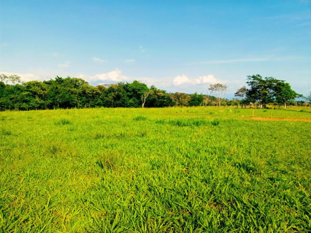 Lot For Sale in Potrerillos |  5879m² | Chiriqui, Panama