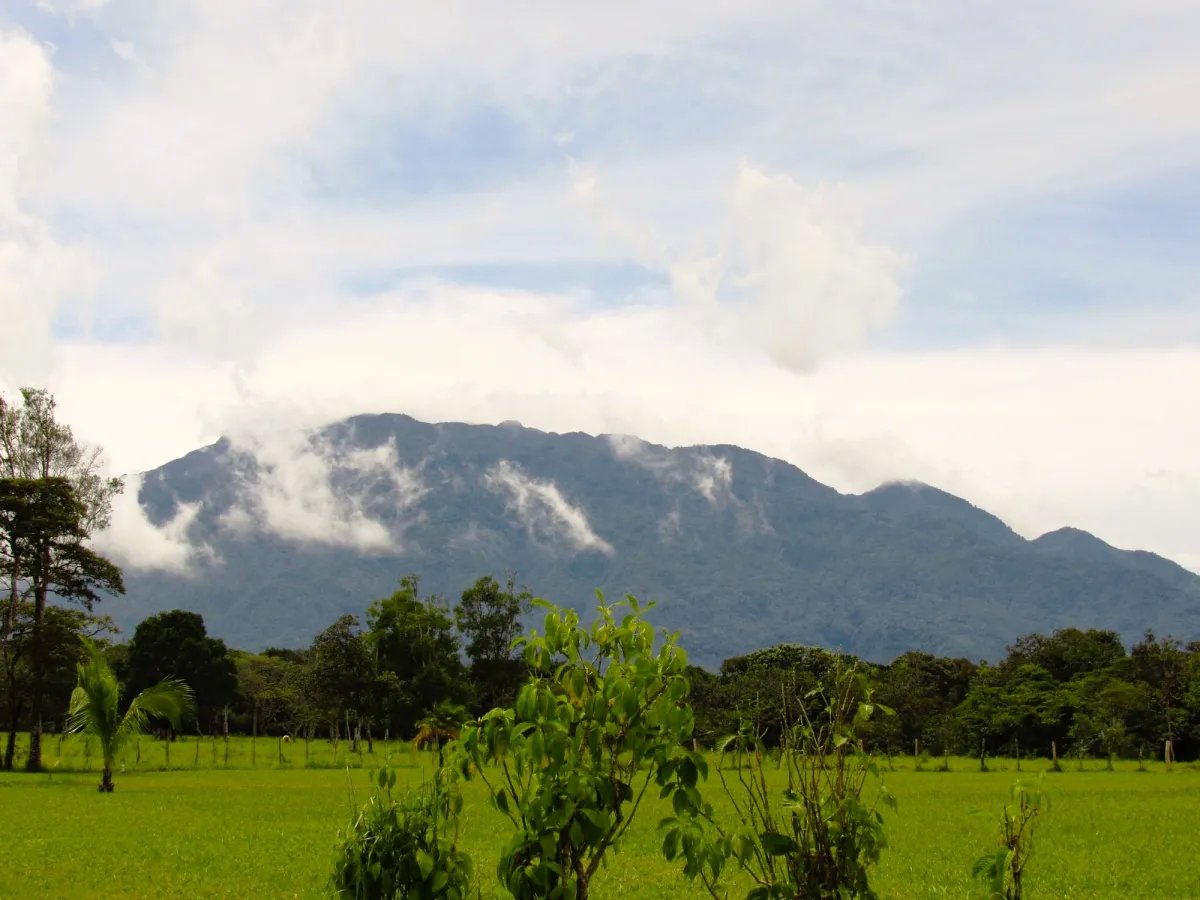 Lote a la Venta en Potrerillos Arriba 1,500?m²   Chiriqui | Panama