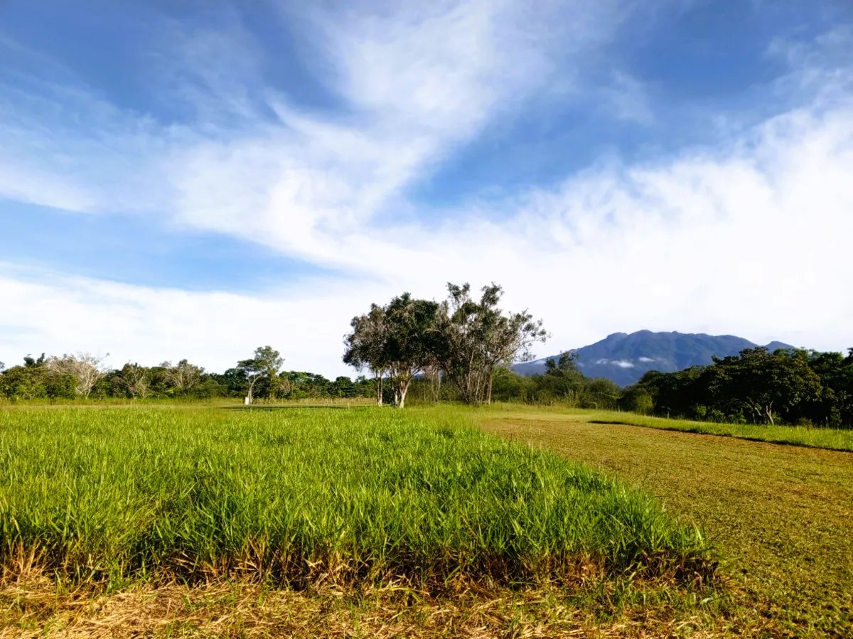 Lote a la Venta en Potrerillos |  3124?m² |  Chiriqui | Panama