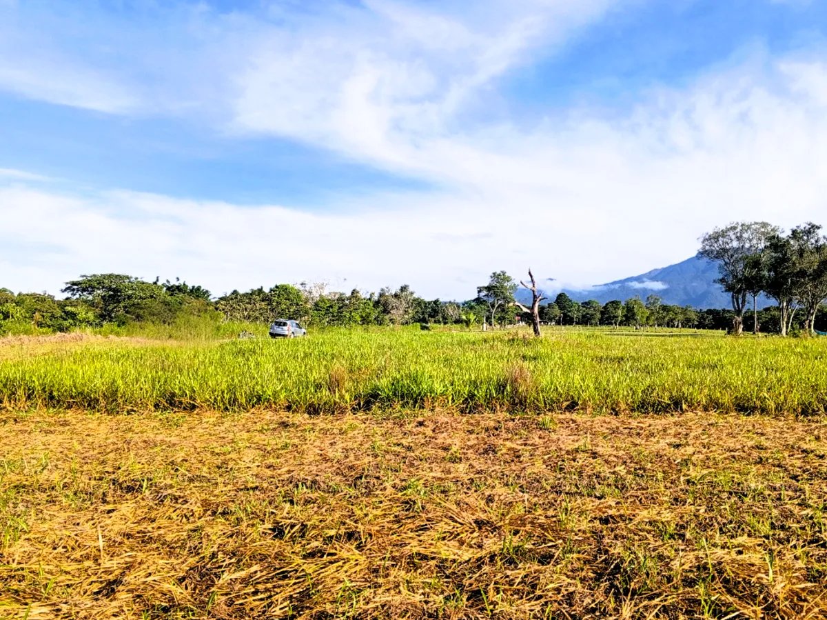Lote a la Venta en Potrerillos |  3124?m² |  Chiriqui | Panama