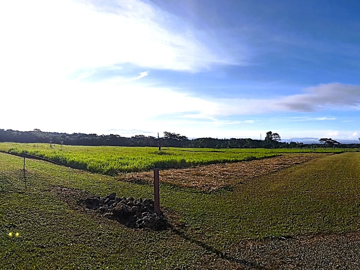Lote a la Venta en Potrerillos |  3124?m² |  Chiriqui | Panama