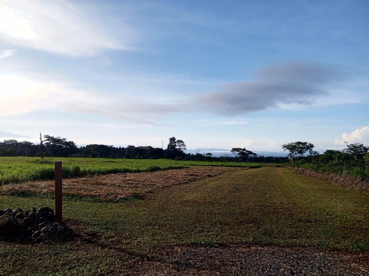 Lote a la Venta en Potrerillos |  3124?m² |  Chiriqui | Panama